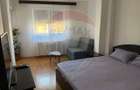 Apartament cu 1 camere de inchiriat in zona Brazda lui Novac - 2