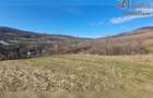 Teren de exceptie 3,1 ha intravilan | Panorama, utilitati, acces dublu | Sardu - 1