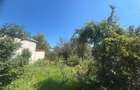 Caransebes, Casa P+E, Teren 1000 Mp - 29