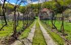 Vila P+E cu teren 2559 mp, vie, garaj, izvor - Borosteni, Gorj - 9