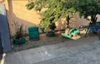 Casă cu Teren 2650 Mp în Pustiniș - 4