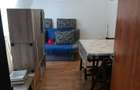 Oferta -apartament cu 1 camera in Sanmartin, langa Oradea - 9