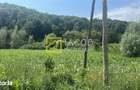 Teren Intravilan-Ideal Investitie-Podis,Margineni,Bacau