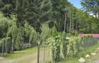 Cabana de inchiriat Valea Bratcutei - 2