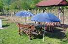 Vand casa ?i gradina - 9