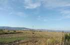 Teren intravilan, Ora?tie, Hunedoara 8.500 m