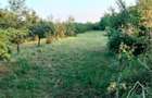 Teren intravilan 1260m Magurele Prahova - 6