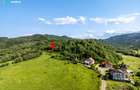 Teren cu vedere superba spre Cheile Rasnoavei, 8800 mp, la marginea pădurii - 7