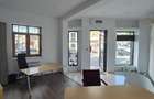 Proprietar,sp.comercial,cabinet,salon,agentie,Tineretului-Parcul Carol - 6