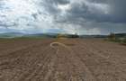 De vanzare doua loturi de teren in Fantanele-Bacau - 9
