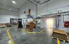 Hale Industriale 5065 mp de vanzare Str. Bradului - Bacau - 15