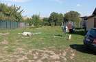 Vand casa cu teren 2200mp sat Bogdanesti - 3