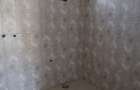 Casa cu 4 camere, 100 mp, Holboca - 5