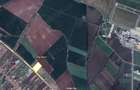 Vand Teren 7244 mp Timisoara pe Centura zona Aeroport front 63 m proprietar 22 Euro mp - 3