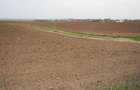 Teren arabil extravilan 10.000 mp (1 Ha) Umbrare?ti, Gala?i (Acte la zi) - 1