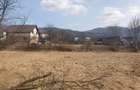 Teren Viseu de Sus Simion Barnutiu(zona Peny) - 6