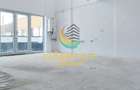 Penthouse - 192mp+ parcare - Strada Biruintei - 4