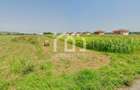 Teren intravilan 2.900 mp - Investi?ie | Jucu de Sus