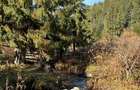 Oportunitate Unica: Domeniu Montan de 2.4 Hectare cu Casa Ideal Turism, camping sau Rezidenta
