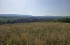 Teren in Sancraiul de Mures, 5800 mp, utilitati la 50 m, padure