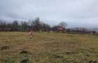 Teren deosebit 11.000 mp  Pârscov Măgura, Buzău | ideal pensiune/ glamping - 2