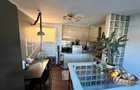 Penthouse Anghel Saligny
