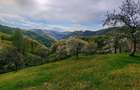 Vand casa locuibila cu teren aferent situata in satul Alun (Comuna Bo?orod) - 1