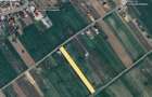 Teren intravilan, sat Darvari, comuna Ciorogarla, Ilfov - 2