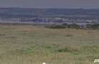 vand teren - 1