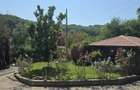 Casa 4 camere de vanzare in Mislea - 5