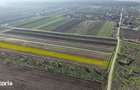 Teren 10.000 mp, parcelabil, ideal ansamblu case P+1 | Gulia - Dambovi