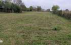 Teren 5000mp Gorgota PH, deschidere 25m, utilita?i la poarta