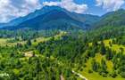 Natura 18.900 mp in Sacele, cu rau si priveliste montana
