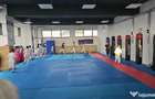 Inchiriere sala sport pretabila fitness, gimnastica, arte martiale - 4