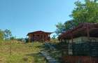 Vand casa de vacanta in TES, jud. Timis - 5