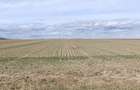 Teren de vanzare in Adancata zona ,,La Canton,,spre Hantesti ,, - 5