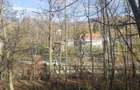 Vand teren intravilan - 3