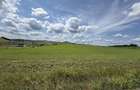 Teren extravilan 18.200 mp (1,82 ha) cu deschidere mare la asfalt - 8
