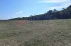 Baicoi/ Saramura/Teren investitie 7500 mp/ d_68 - 3