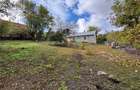 CASA SI TEREN 4.000 MP | COMUNA TRIA | JUDETUL BIHOR - 8