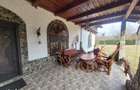 Cabana premium/Valea Avrigului - 2