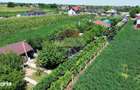 Casa 2 camere teren 6943mp Gologanu - 14