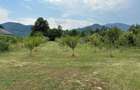 Vand teren- str Stramutati, sat Bistrita, jud Neamt - 2