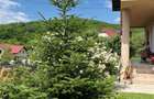 VILA 4 CAMERE CU TEREN 1.670 MP ?I LIVADA | VALENII DE MUNTE, PRAHOVA - 5