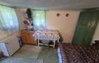 Vanzare Casuta pitoreasca la padure, teren 3159mp, in Gogeasca