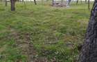 Vand Teren 18.813 mp Caransebe? - Zona Teiu?, Ideal pt casa de vacan?a ?i ecologice . - 5