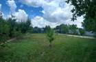 Proprietate Exclusiva cu Piscina, Foisor si Livada | 1.970 mp teren | - 1