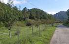 Teren intravilan Sat Voia Com. Balsa 7000mp - 4