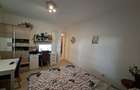 Apartament 2 camere decomandate, Parter, Zona Alexandru (Miron Costin) - 10