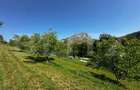 Teren deosebit de vanzare 1800 mp, Cheile Vali?oarei - 3